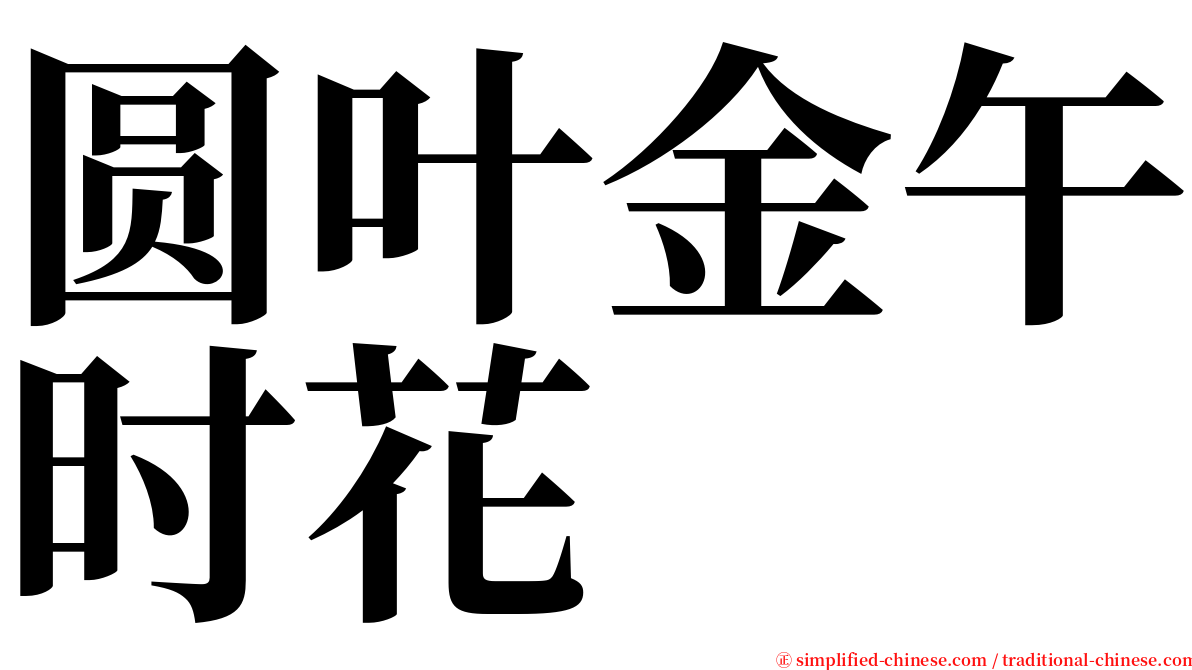 圆叶金午时花 serif font