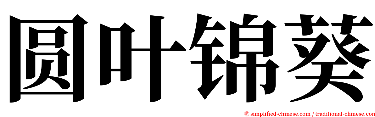 圆叶锦葵 serif font