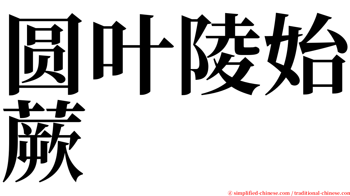 圆叶陵始蕨 serif font