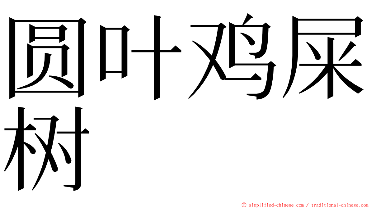 圆叶鸡屎树 ming font