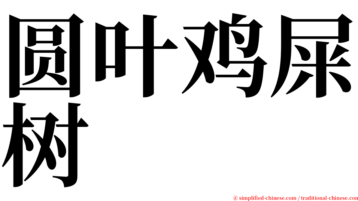 圆叶鸡屎树 serif font