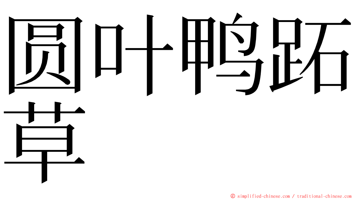 圆叶鸭跖草 ming font