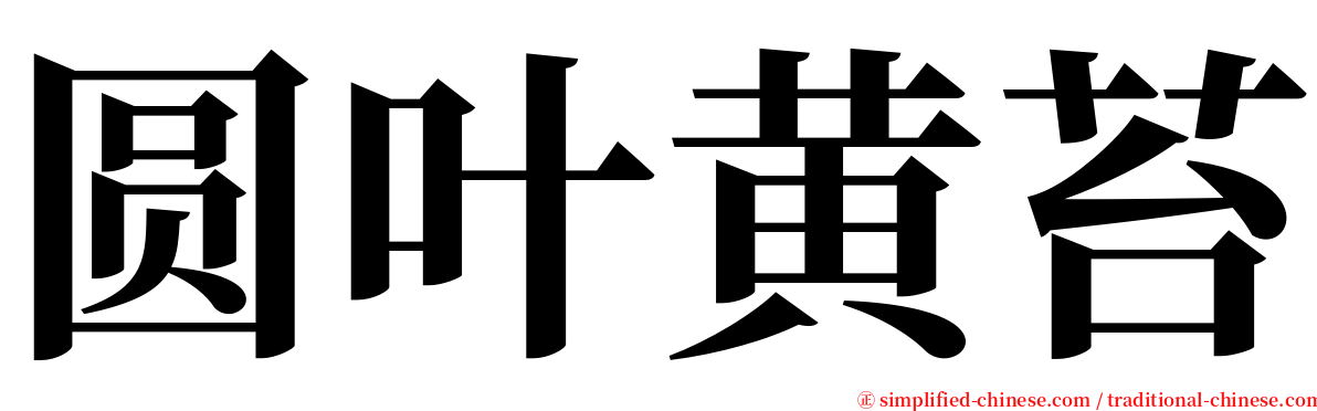 圆叶黄苔 serif font