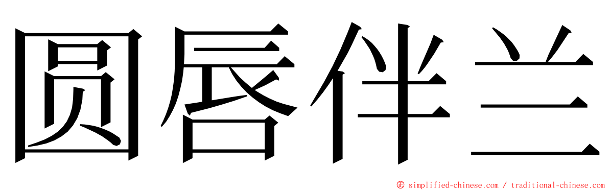 圆唇伴兰 ming font