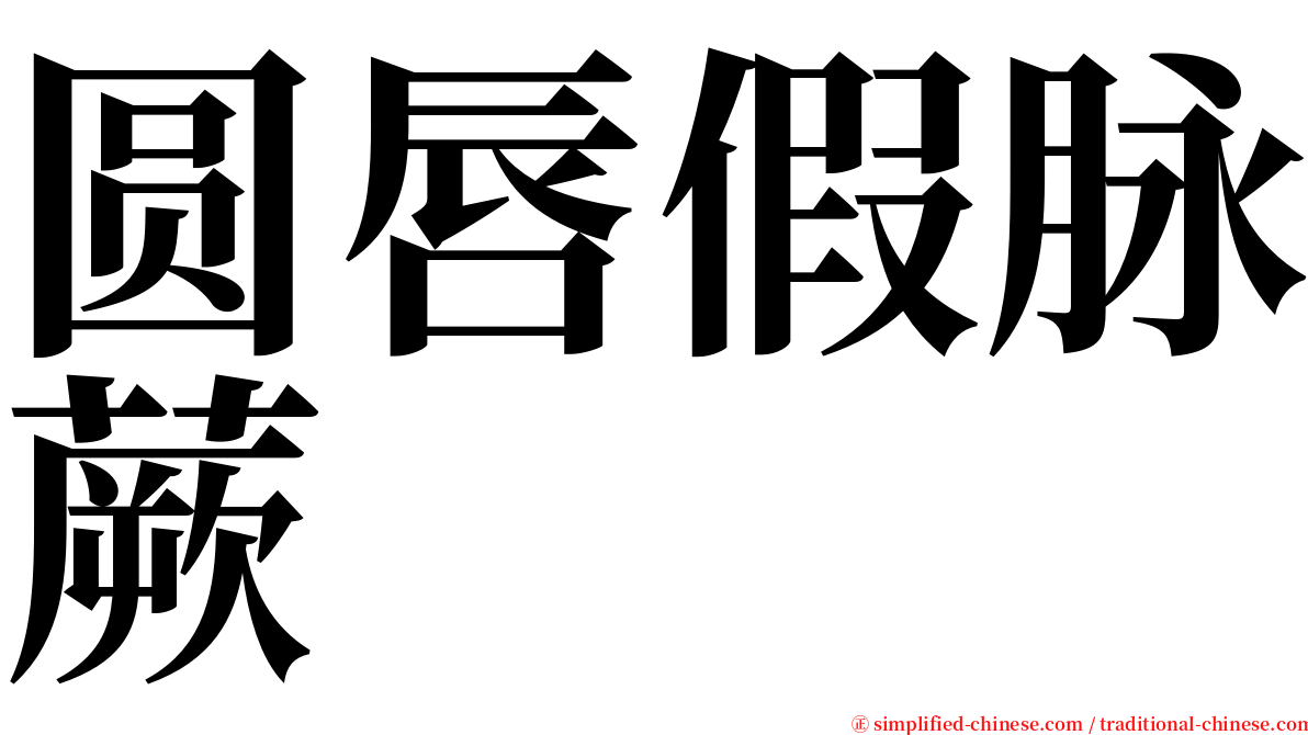 圆唇假脉蕨 serif font