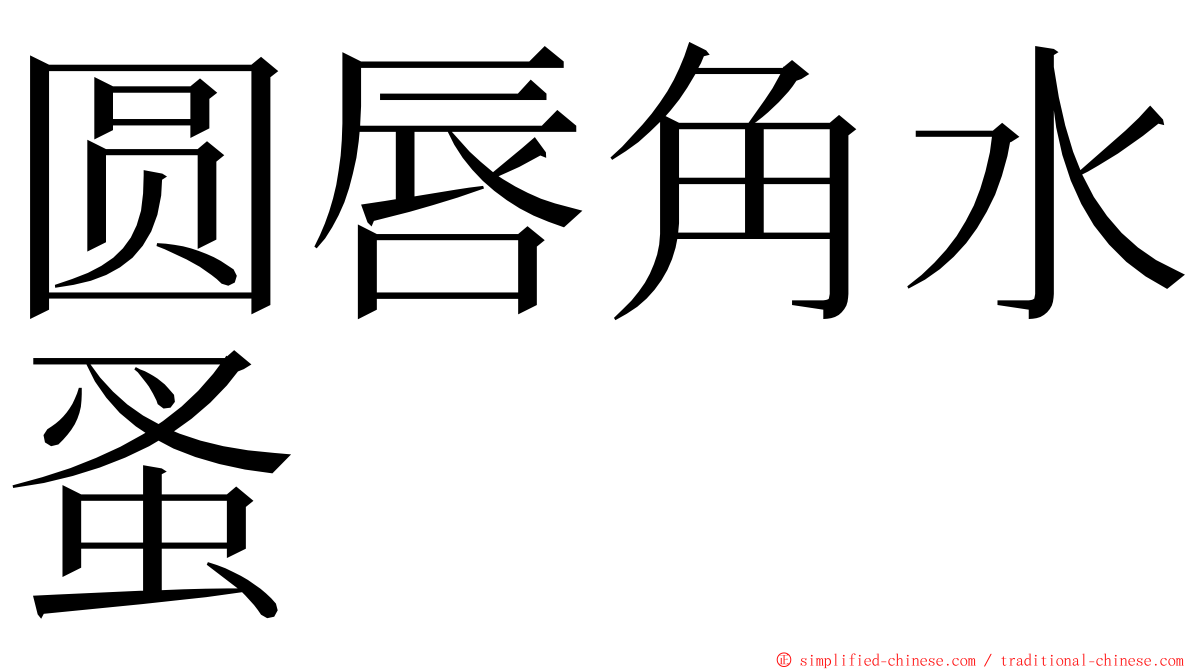 圆唇角水蚤 ming font