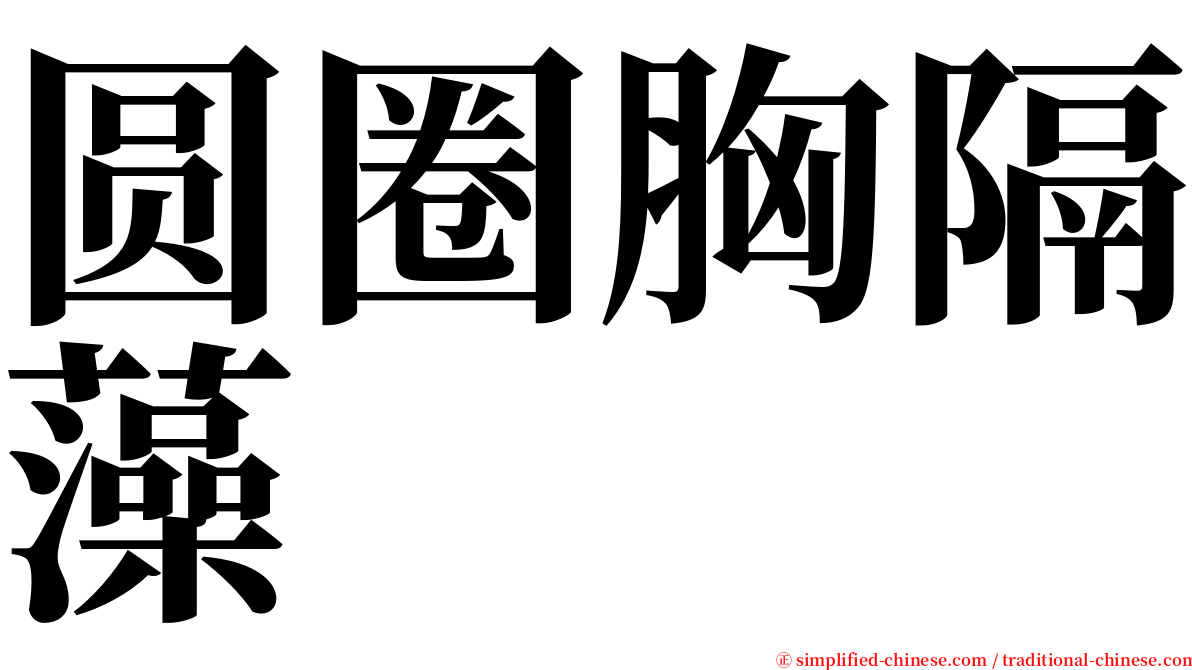 圆圈胸隔藻 serif font