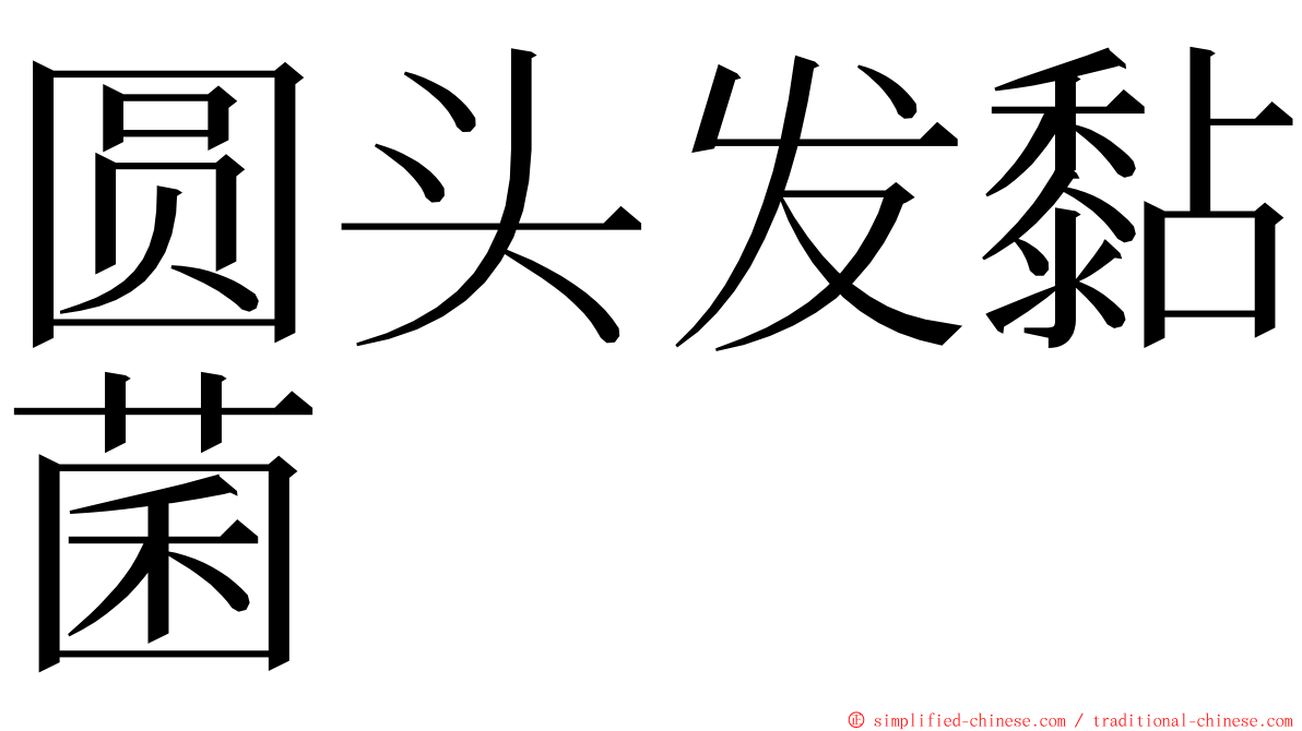 圆头发黏菌 ming font