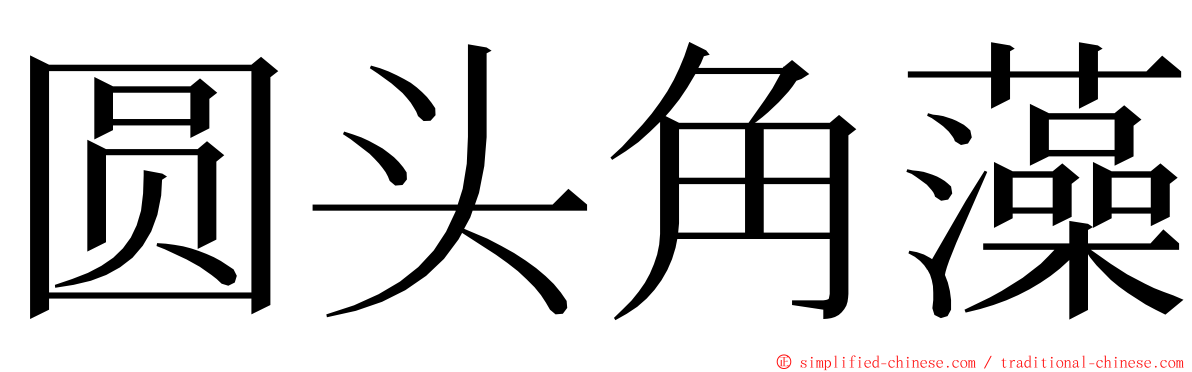 圆头角藻 ming font