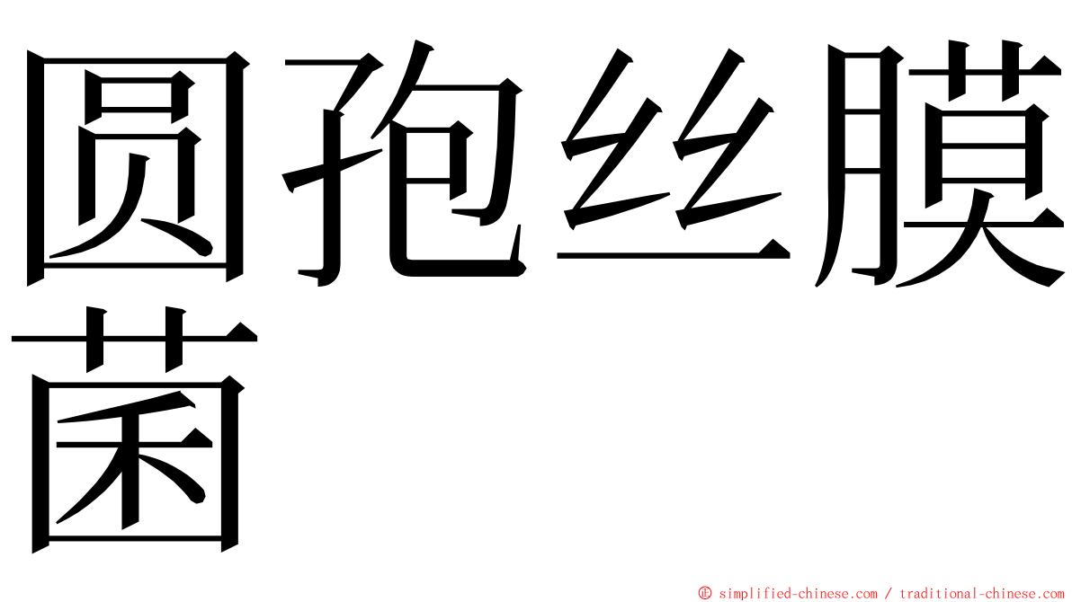 圆孢丝膜菌 ming font