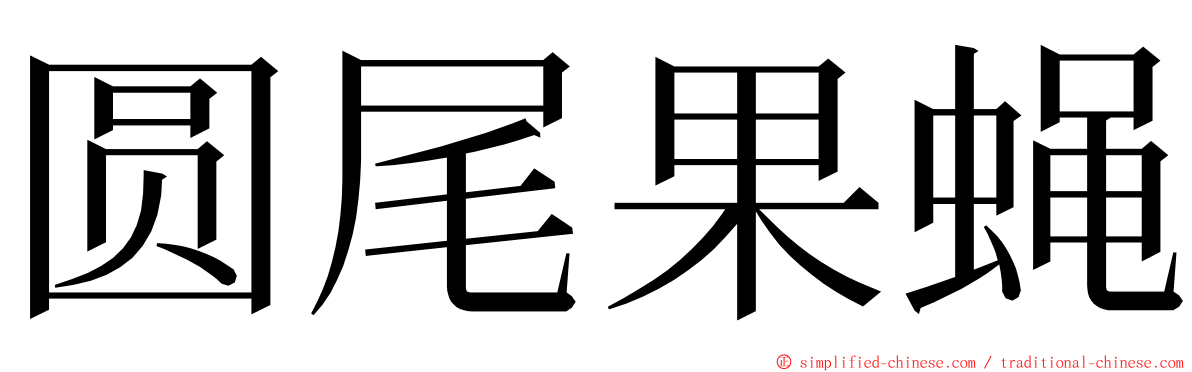 圆尾果蝇 ming font