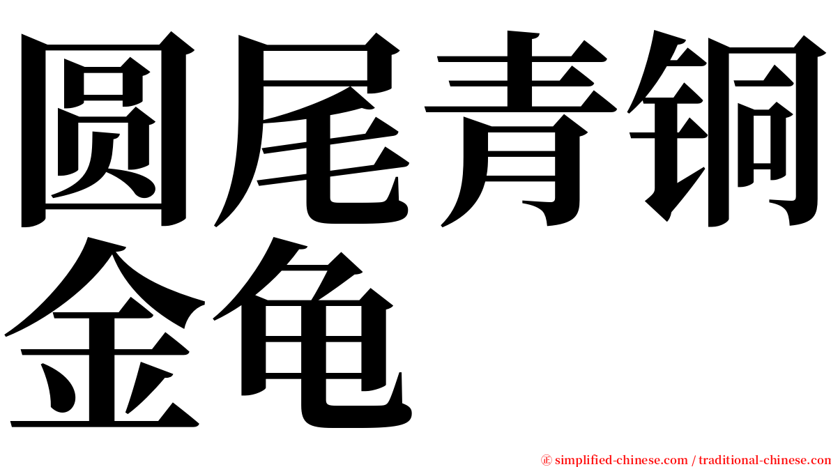 圆尾青铜金龟 serif font