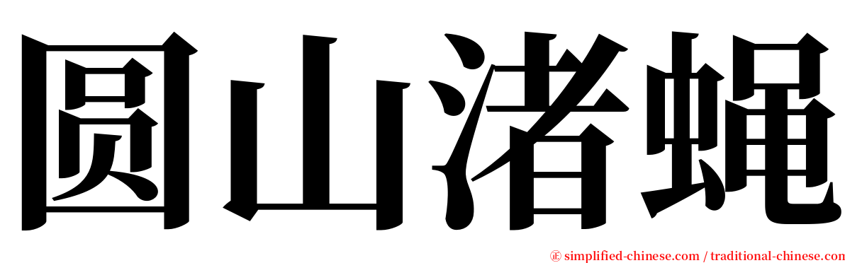 圆山渚蝇 serif font