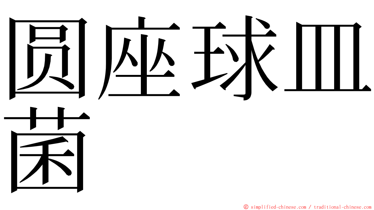 圆座球皿菌 ming font