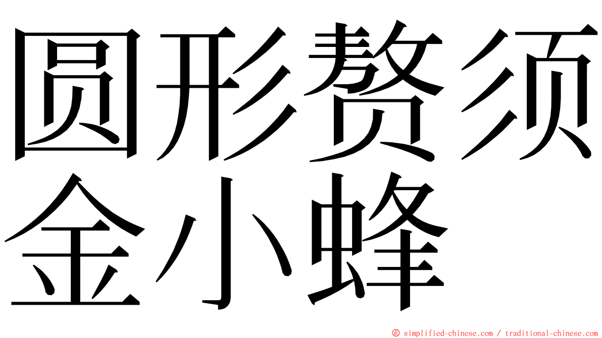 圆形赘须金小蜂 ming font