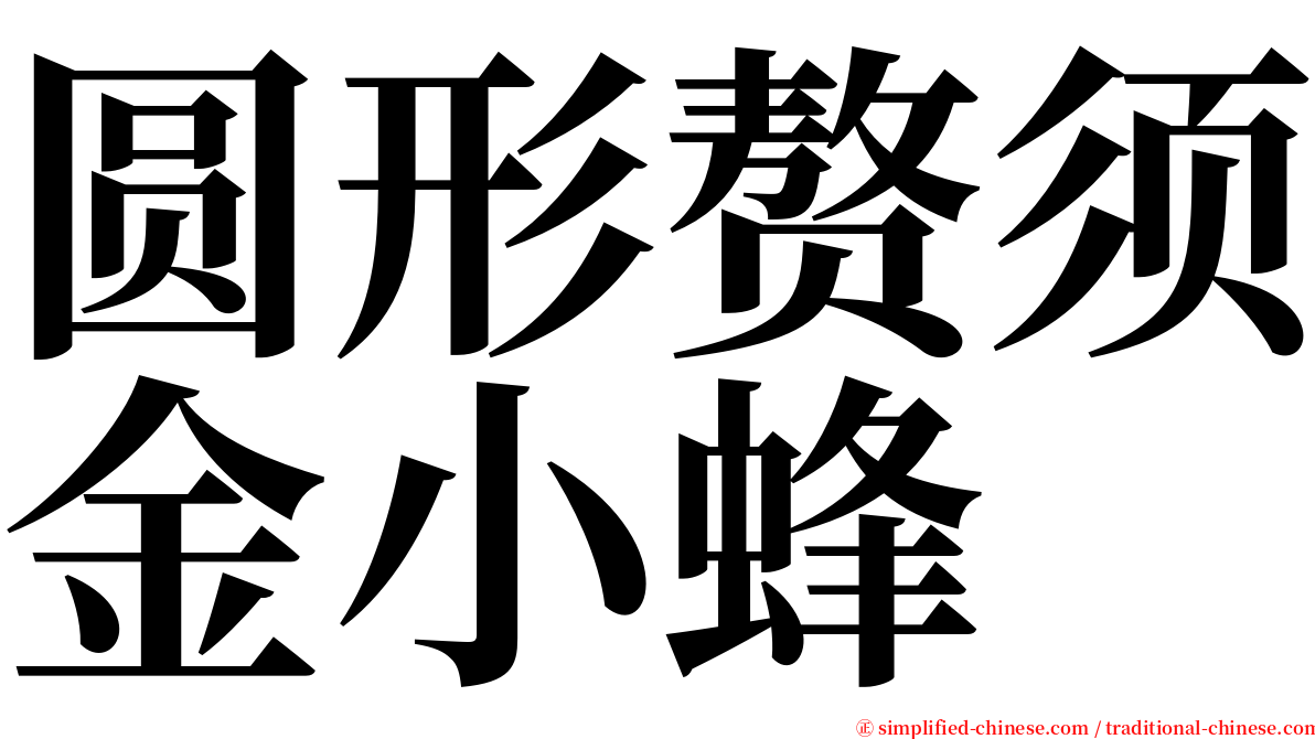 圆形赘须金小蜂 serif font