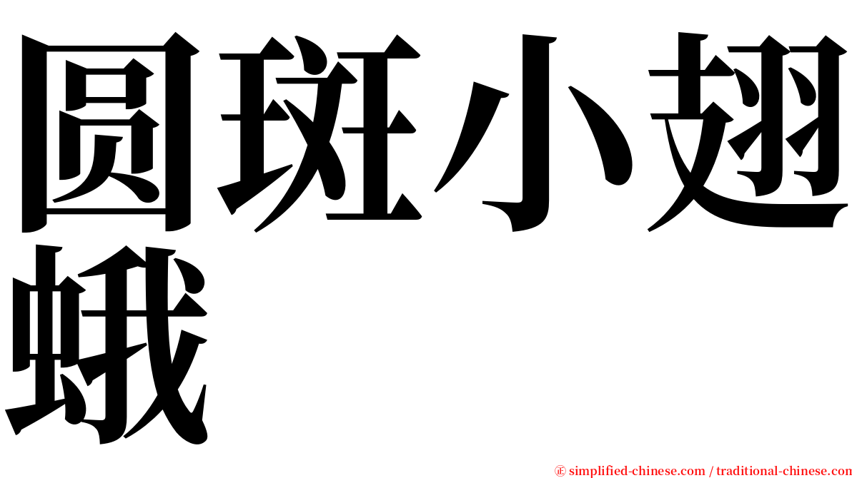 圆斑小翅蛾 serif font