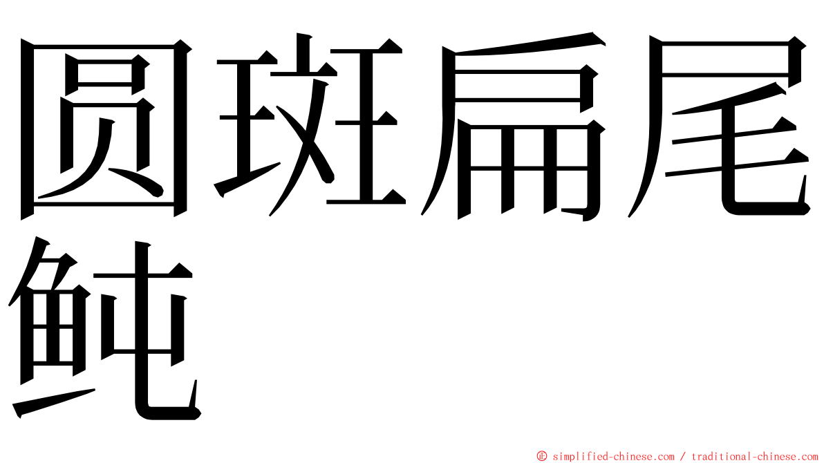 圆斑扁尾鲀 ming font