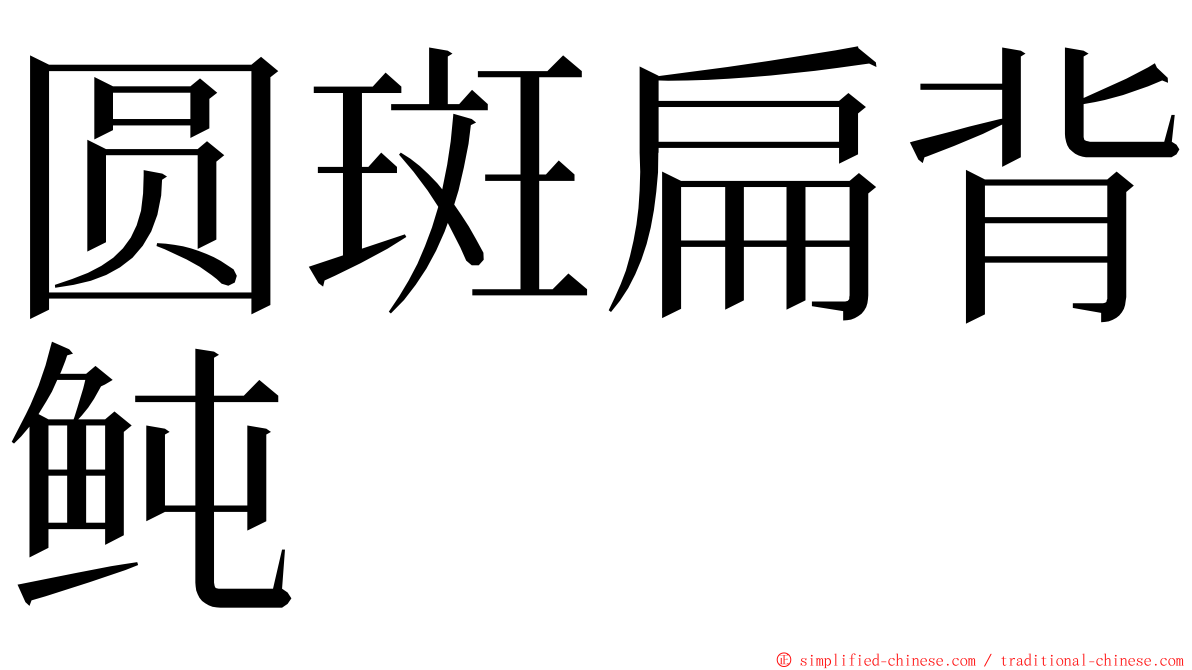 圆斑扁背鲀 ming font