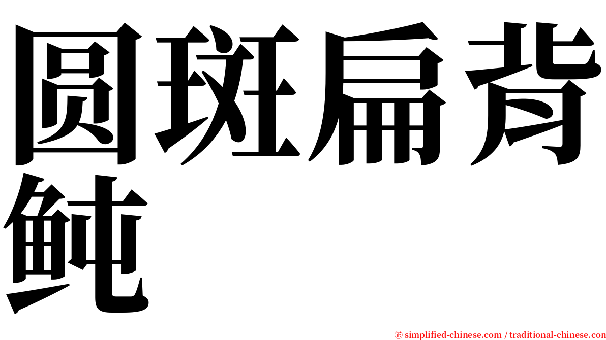 圆斑扁背鲀 serif font