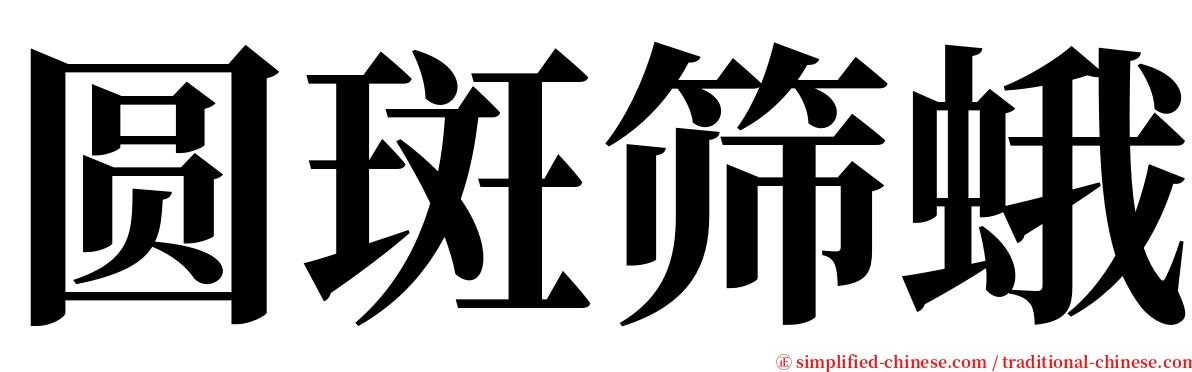 圆斑筛蛾 serif font