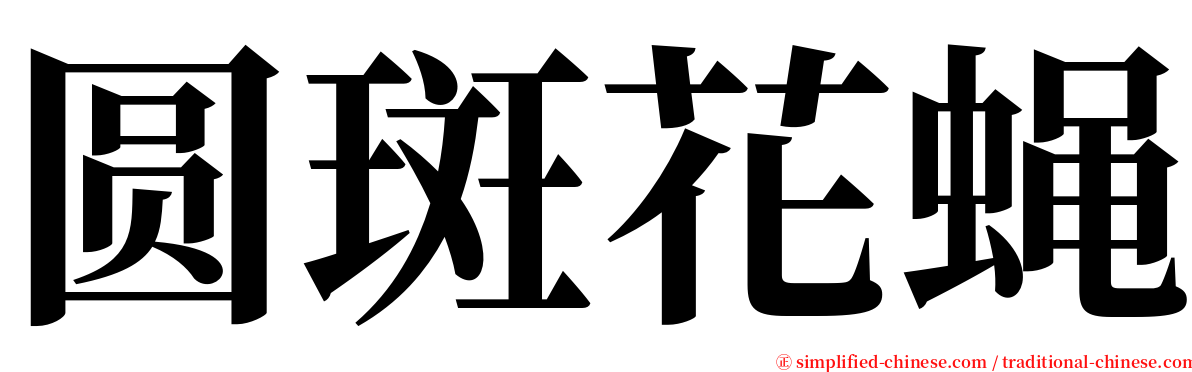 圆斑花蝇 serif font