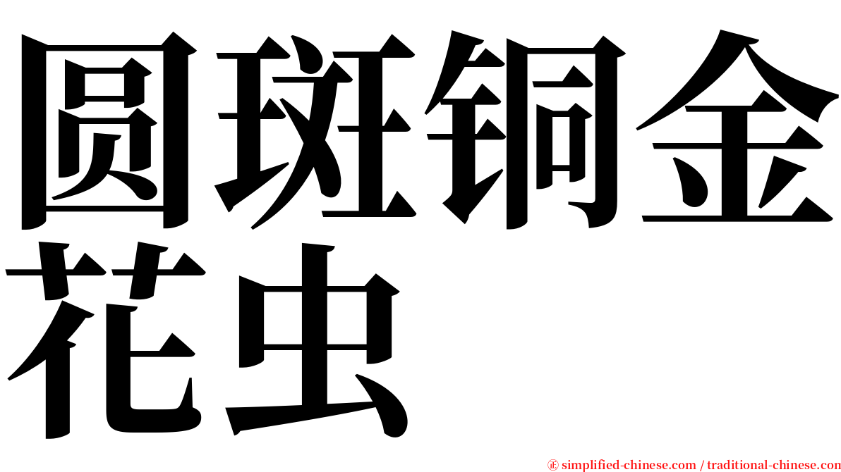 圆斑铜金花虫 serif font