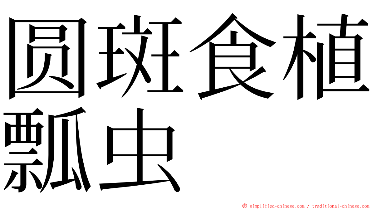 圆斑食植瓢虫 ming font