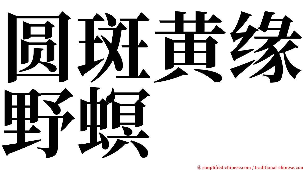 圆斑黄缘野螟 serif font