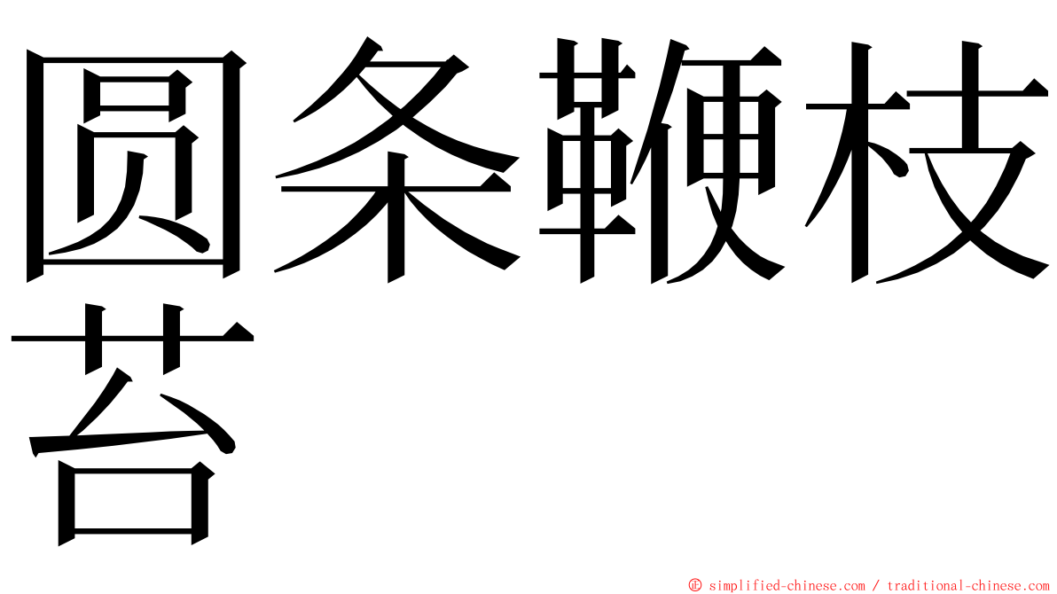 圆条鞭枝苔 ming font