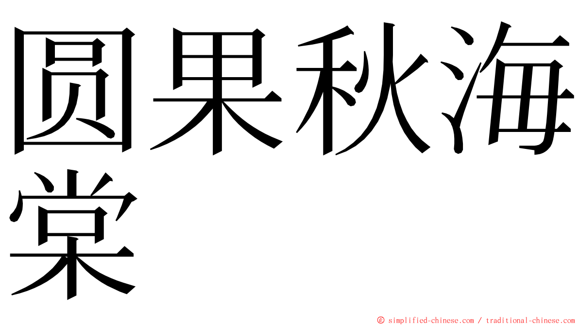 圆果秋海棠 ming font