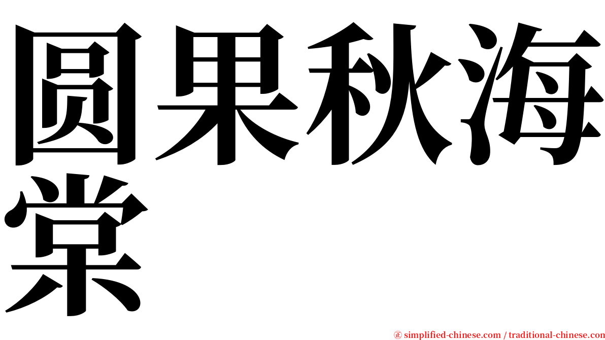 圆果秋海棠 serif font