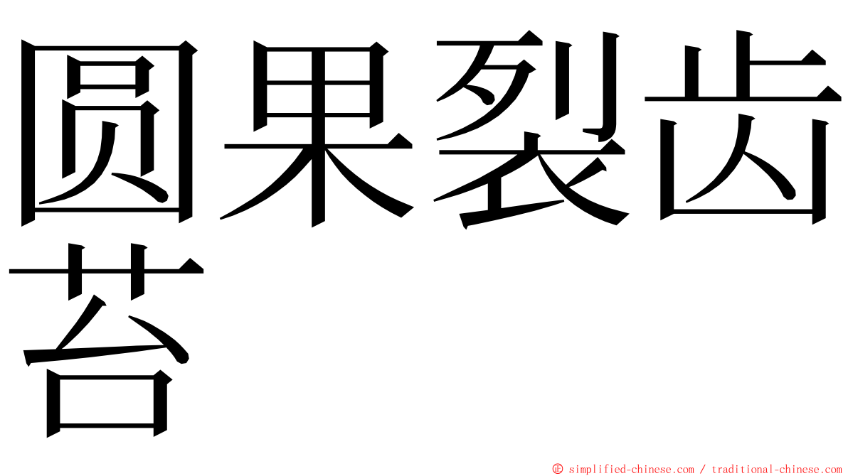 圆果裂齿苔 ming font