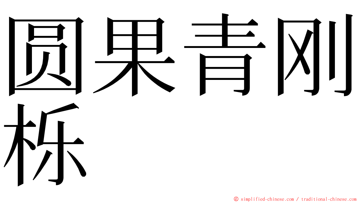 圆果青刚栎 ming font