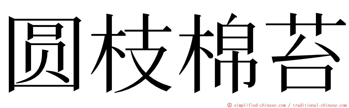 圆枝棉苔 ming font