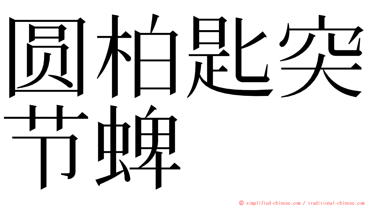 圆柏匙突节蜱 ming font