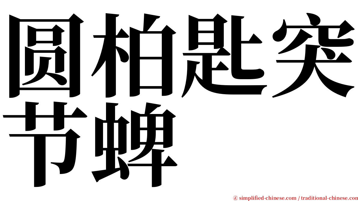 圆柏匙突节蜱 serif font