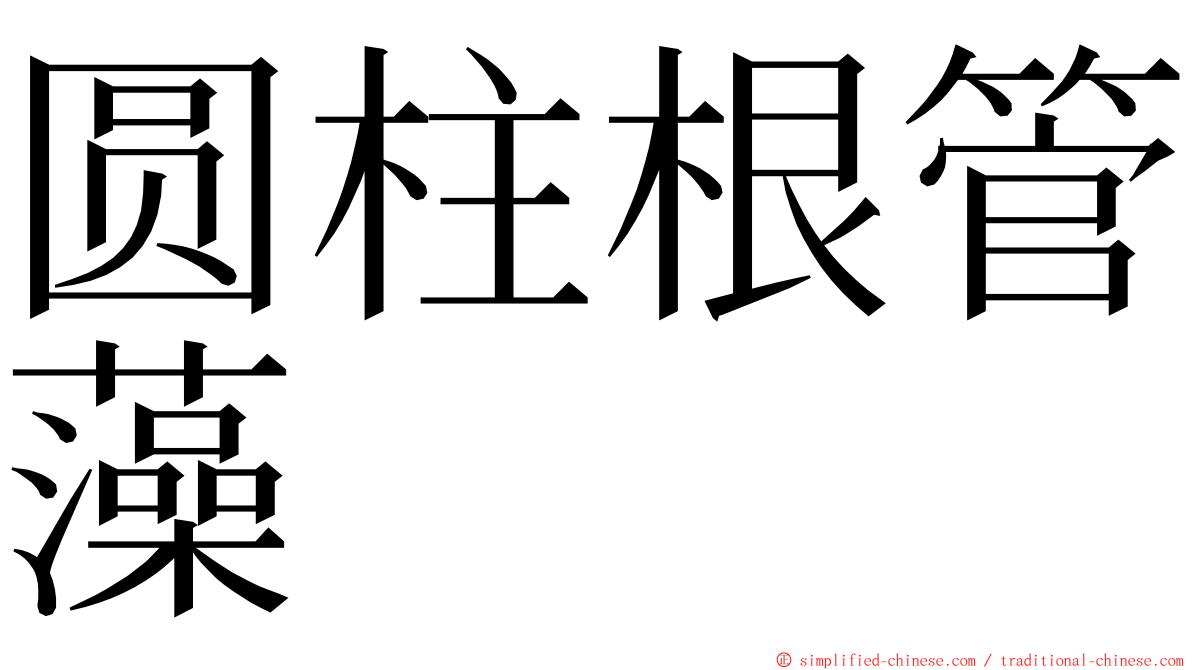 圆柱根管藻 ming font