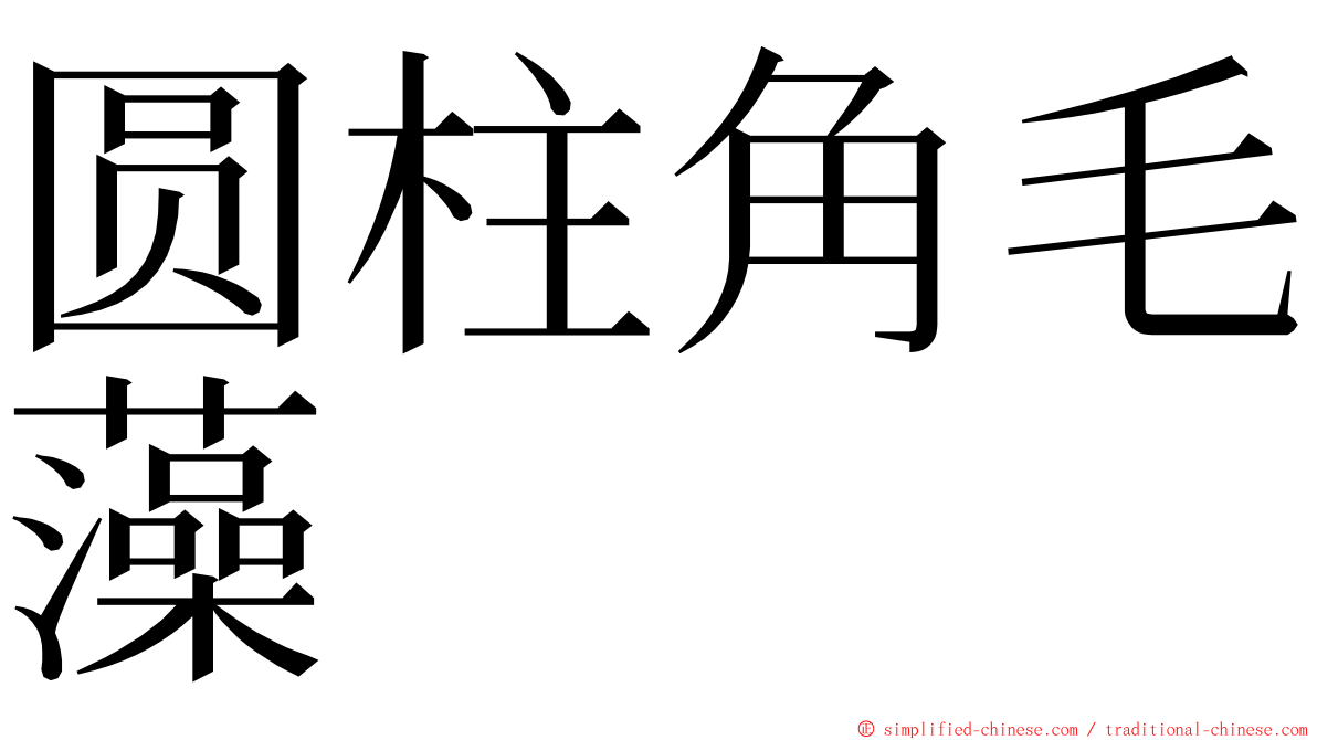 圆柱角毛藻 ming font