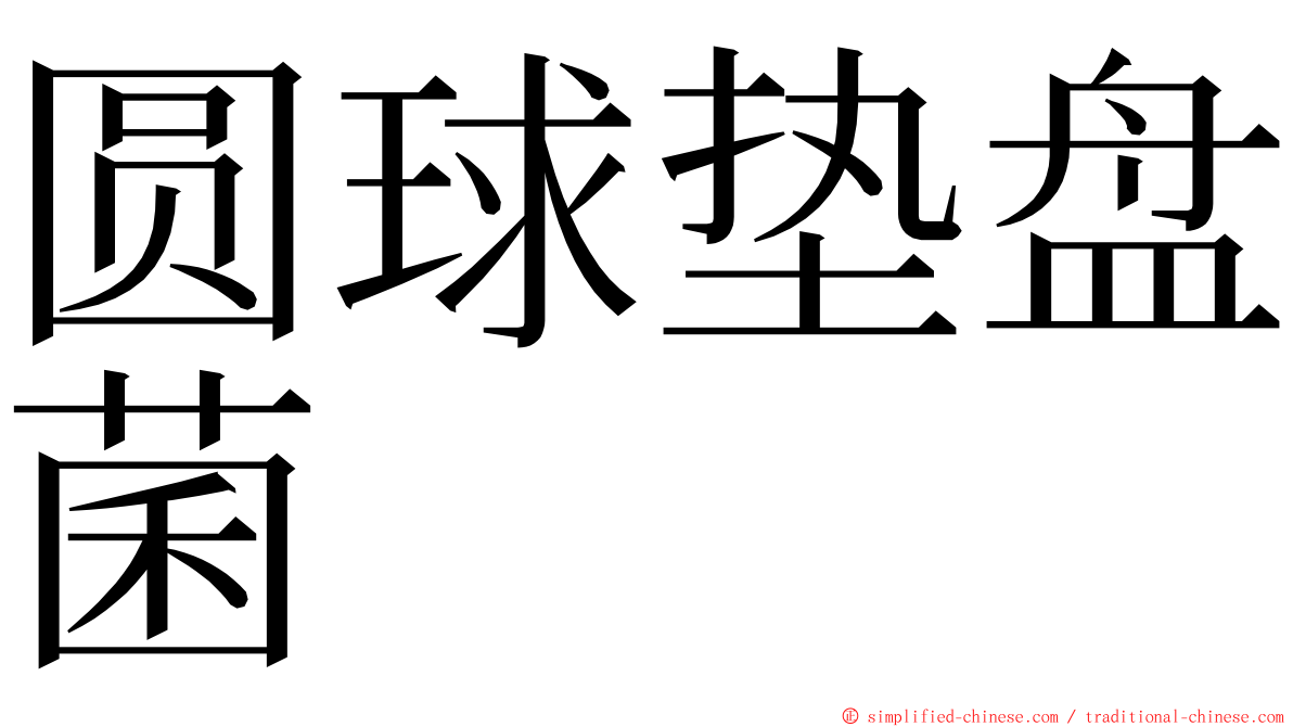 圆球垫盘菌 ming font