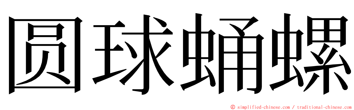 圆球蛹螺 ming font