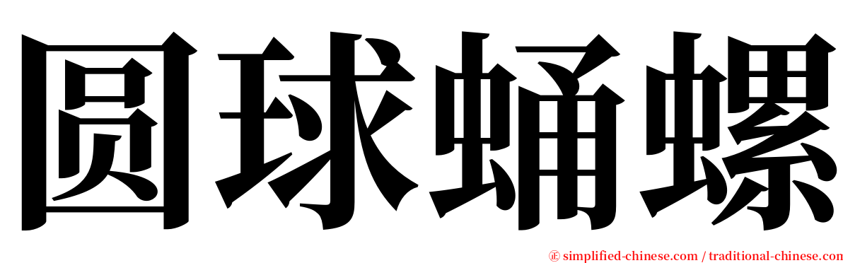 圆球蛹螺 serif font