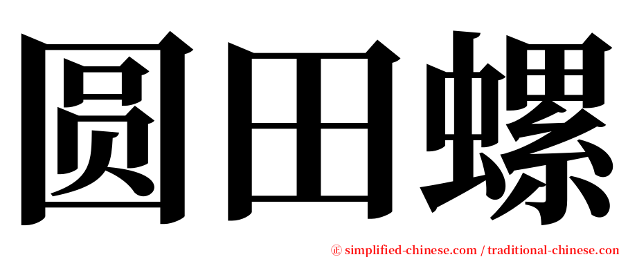 圆田螺 serif font