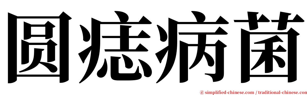 圆痣病菌 serif font