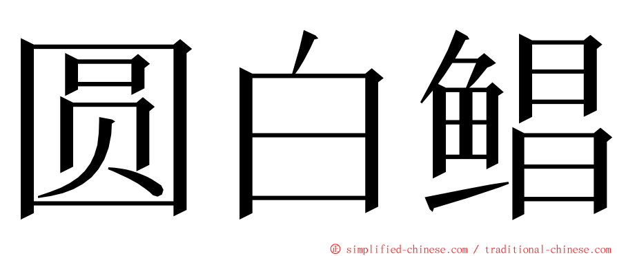 圆白鲳 ming font