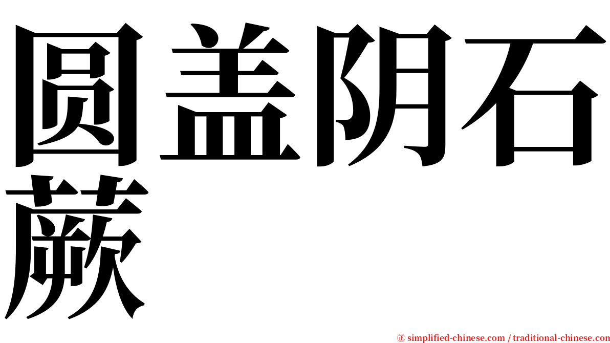 圆盖阴石蕨 serif font