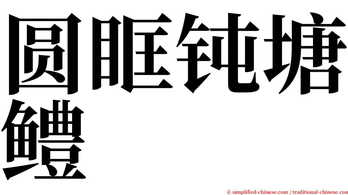 圆眶钝塘鳢 serif font