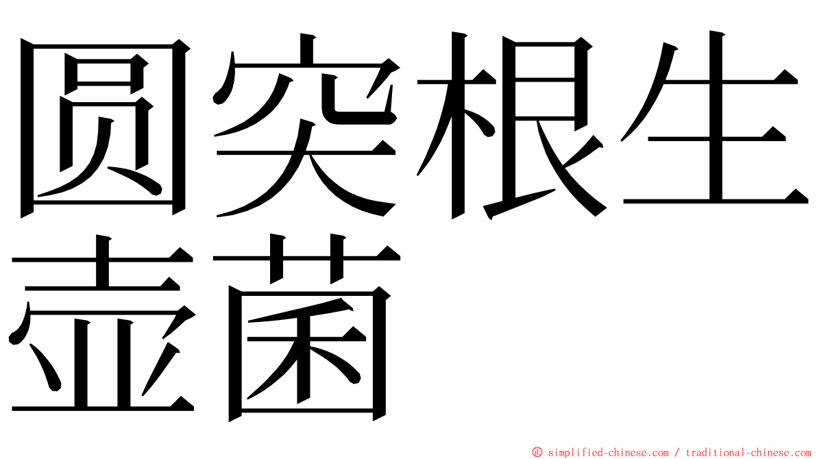 圆突根生壶菌 ming font