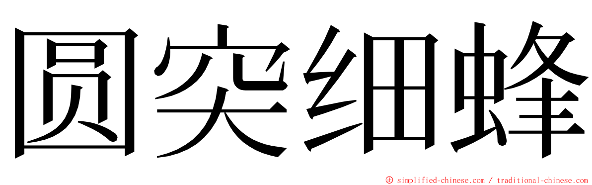 圆突细蜂 ming font