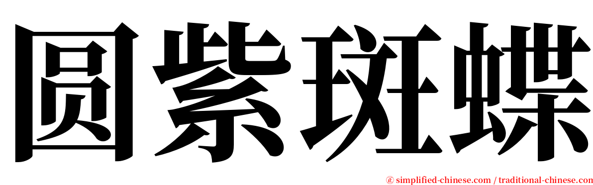 圆紫斑蝶 serif font